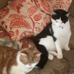 Meet your Posher, Edith